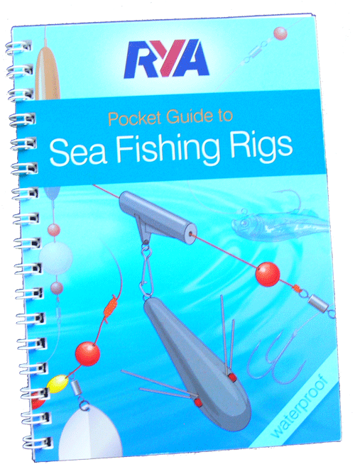 Proven Saltwater Fishing Rigs for Successful Boat Fishing