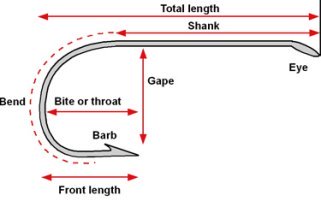 Freshwater Fishing Hook Size Chart