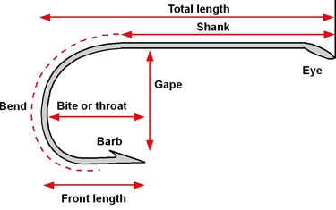 Fly Fishing Hook Size Chart Printable