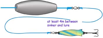 A mackerel spinner