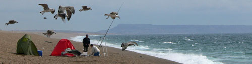 Surf Casting off Dorset's famous Chesil Beach.