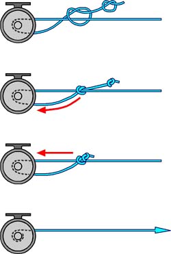 How to Tie the Arbor Knot