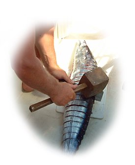 Steaking a King Mackerel