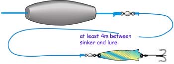 A mackerel spinner