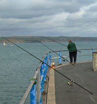Top Pier Fishing Rigs & Tips That You May Want To Keep To Yourself!