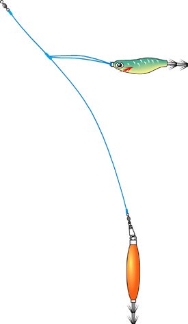 Octopus/Squid jig rig