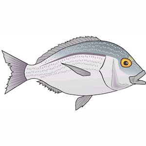 Wheel And Axle Examples Clipart Fish